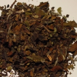 White Tea 1/2 Oz.